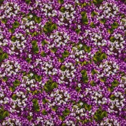 Wholesale 🎉 Purple Floral Cotton Calico Fabric 🤩