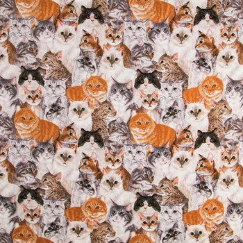 Brand new ???? Packed Cats Cotton Calico Fabric ❤️ 1 Brand new ???? Packed Cats Cotton Calico Fabric ❤️