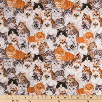 Brand new ???? Packed Cats Cotton Calico Fabric ❤️ 2 Brand new ???? Packed Cats Cotton Calico Fabric ❤️ - Image 2